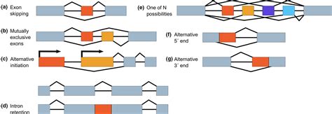 The importance of alternative splicing in adaptive evolution - Singh - 2022 - Molecular Ecology ...