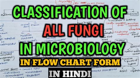 Mycology Classification Of Fungi In Microbiology Classification Of ...