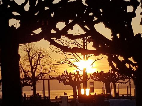 Sunset on Lake Zurich : r/EarthPorn