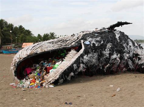 The Ocean Plastic Crisis - Greenpeace USA