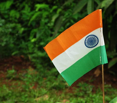 India National Flag Free Photo Download | FreeImages