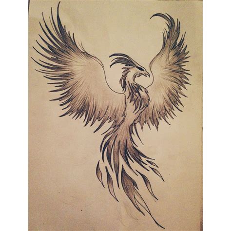 16+ Drawings Of A Phoenix | Ave fenix dibujo, Tatuajes de aves fenix, Ave fenix tatuaje