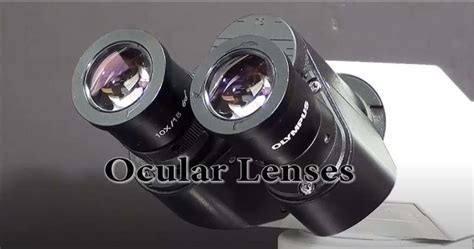 What is the difference between ocular and objective lenses - Scientific ...