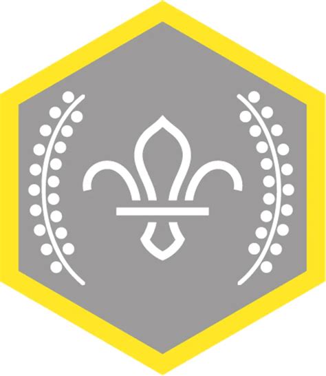 Cub Chief Scouts Silver Award Badge