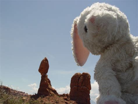 Rabbit Adventures | My cousin's daughter has a rabbit friend… | Flickr