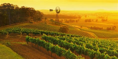 A Guide To Australia's Wine Regions, From Wine Experts