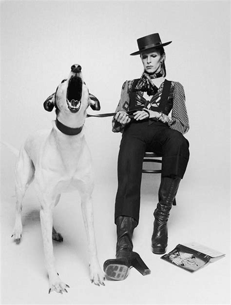 Terry O'Neill - David Bowie, Diamond Dogs, London at 1stDibs