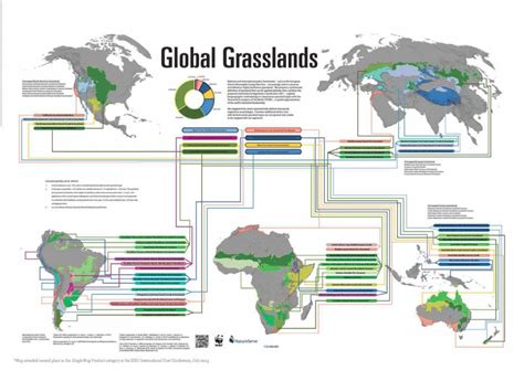 Grasslands World Map | Map Of Us Western States