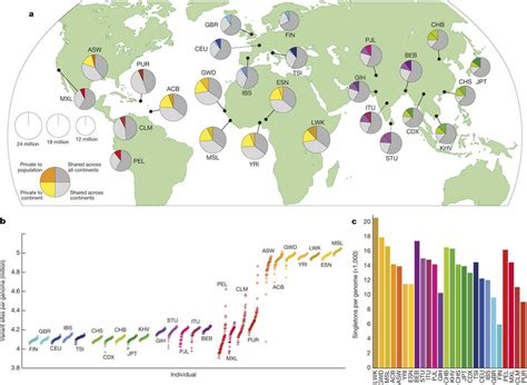 Human genome variation and admixture – David Díez – Medium