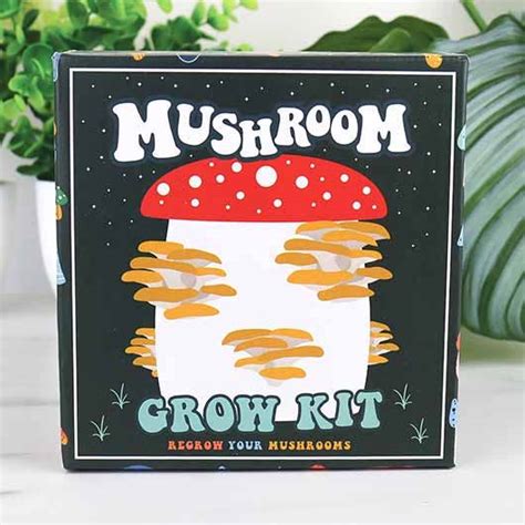 Mushroom Grow Kit – The Feral Market