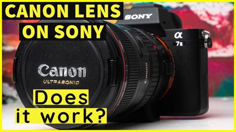 Sony A7II with adapted Canon lenses - EF to E mount - My experience with adapted lenses on Sony ...