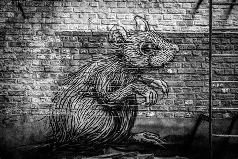 The Life and Times of a New York City Rat - CitySignal