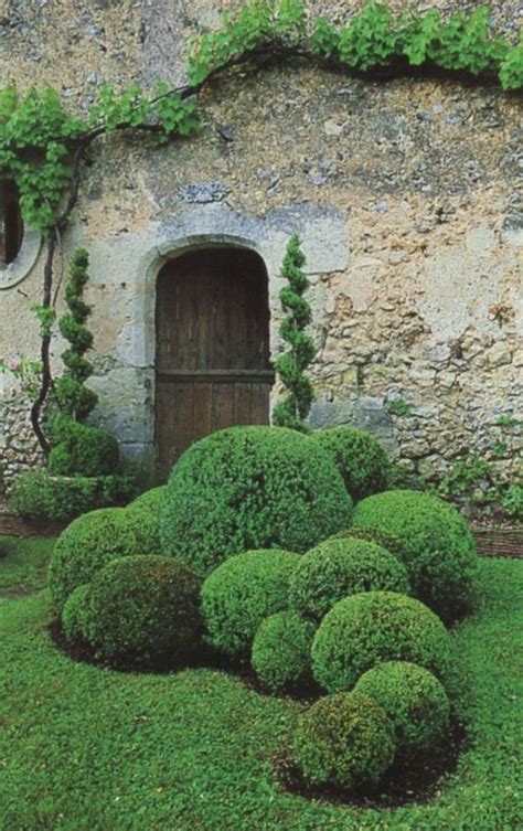 Landscaping with Boxwoods: 10 Ideas