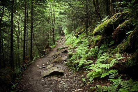 It usually takes about seven days to hike the Great Smoky Mountains ...