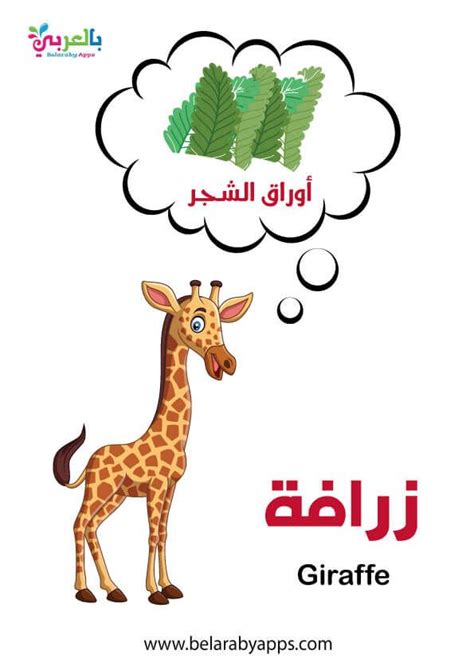 بطاقات أسماء حيوانات الغابة بالصور - وحدة الحيوانات رياض اطفال ⋆ بالعربي نتعلم | Preschool ...