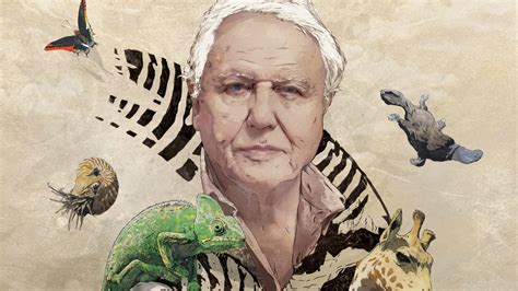 Watch David Attenborough's Natural Curiosities Online | Season 2 (2013) | TV Guide