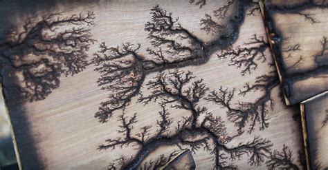 Lichtenberg: Woodburning with lightning | Woodworking Network