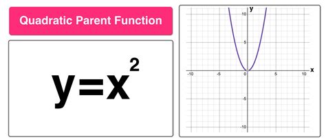 Quartic Function Graph