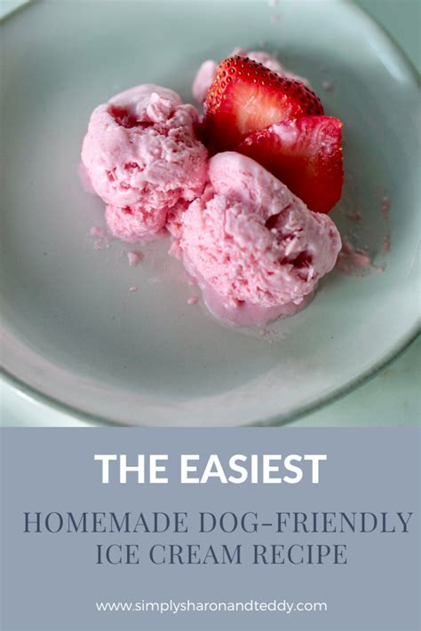 The Easiest Homemade Dog-Friendly Ice Cream Recipe - Simply Sharon and Teddy