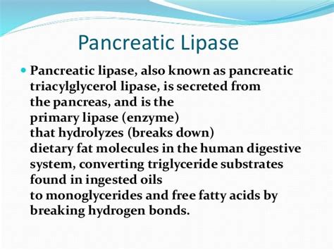 Pancreatic lipase ppt