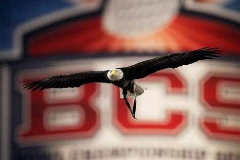 Why Do Auburn Fans Say "War Eagle"? The Origins of the Famous SEC ...