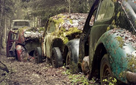 forest, cars, wrecks, old - Cars Wallpapers: 2560x1600