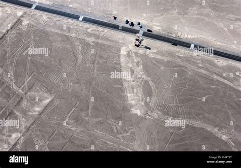 Aerial view of the spectacular Nazca Lines, Peru Stock Photo - Alamy