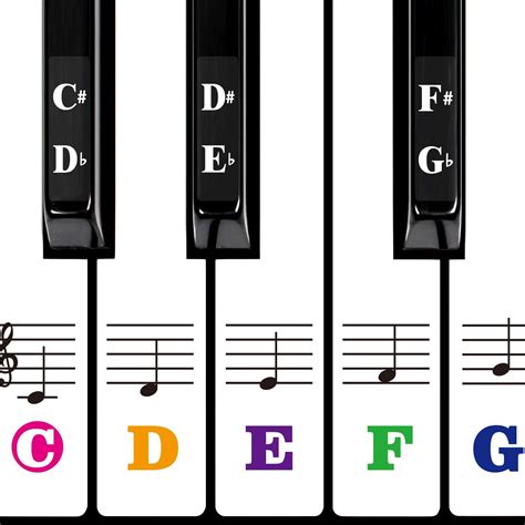 Amazon.com: Color Piano Keyboard Stickers for 88/61/54/49/37 Key Multi ...