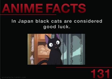 Anime Fun Facts | Wiki | Anime Amino