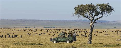 When Is The Best Visiting Time To Go To Masai Mara In Kenya ...