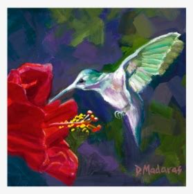 Red Hibiscus And Hummingbird-png - Hummingbird On Hibiscus Flower, Transparent Png , Transparent ...