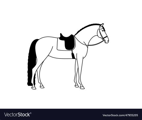 Black and white of a horse Royalty Free Vector Image