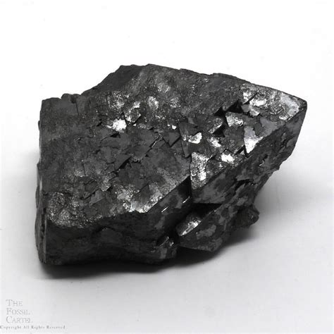 Magnetite Crystal Cluster - The Fossil Cartel