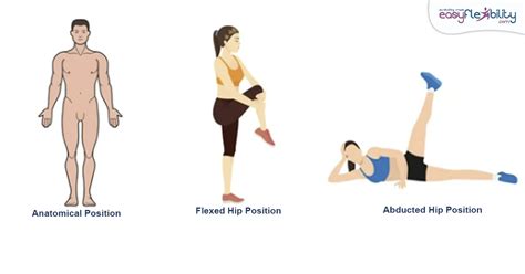 A Step-by-Step Guide to Improve Your Hip Rotation Strength