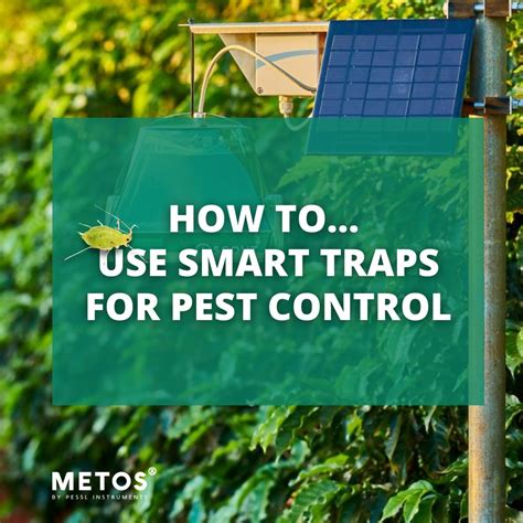 How to use smart traps for pest control - METOS® by Pessl Instruments