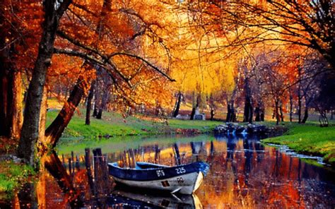 Autumn GIF - Find & Share on GIPHY