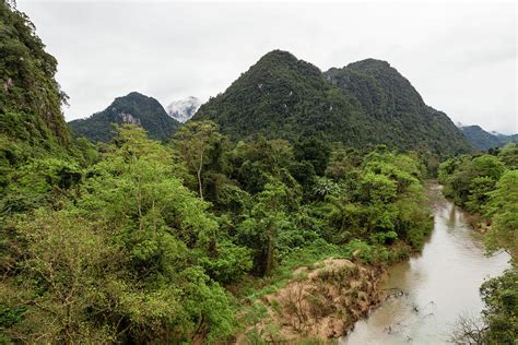 Vietnam jungle Photograph by Lukasz Szczepanski - Fine Art America