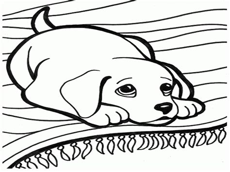 Small Dog Coloring Pages at GetDrawings | Free download