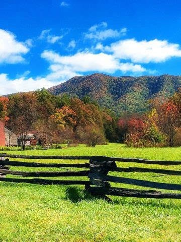 Essential Homesteading Supplies