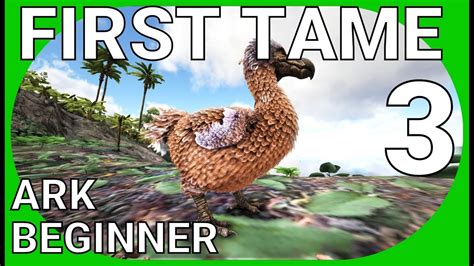 ARK SURVIVAL EVOLVED: Beginner Guide Part 3 | FIRST TAME AND MORE LEVELING - YouTube