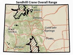 Colorado Elk Population Density Map | secretmuseum