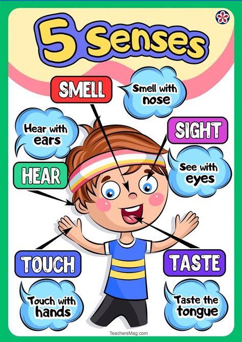 Free Downloadable Senses Poster Set | TeachersMag.com