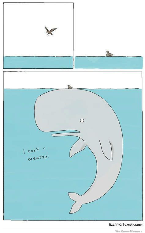 Whale Funny Quotes. QuotesGram