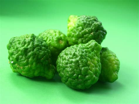 Bergamot Fruit Free Stock Photo - Public Domain Pictures