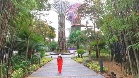 Singapore Garden By the Bay - Flower Dome vs Cloud Forest Dome