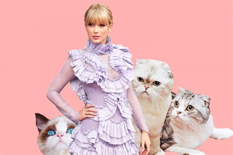 Taylor Swift cats’ names: How many cats does T Swift…