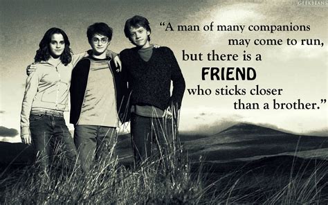 20 Harry Potter Quotes About Friendship Pictures | QuotesBae