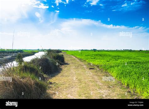 Pakistan punjab landscape hi-res stock photography and images - Alamy