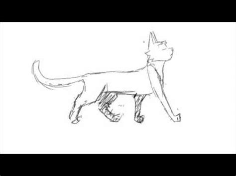 Cat Walk Cycle - YouTube