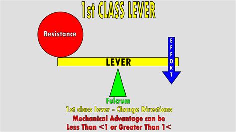 The 3 Classes of Levers – KinesiologyKris.com